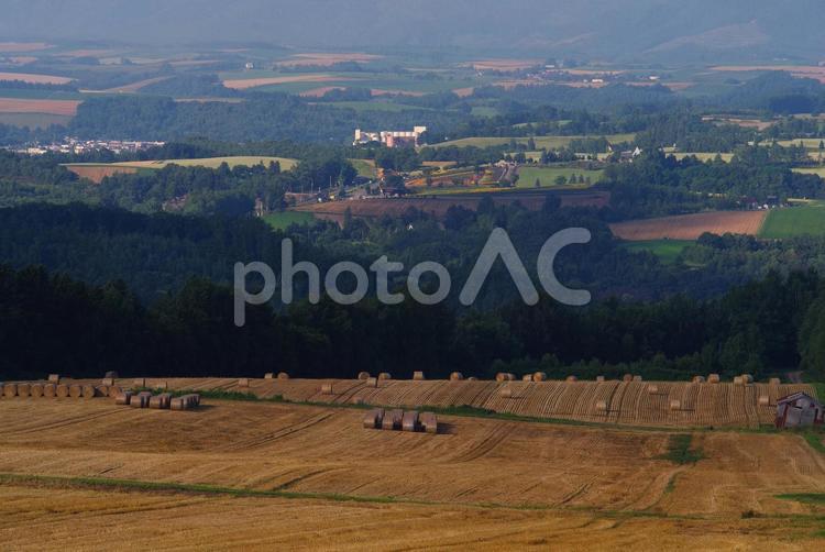 夏の丘と牧草ロール 絶景,景色,農業の写真素材