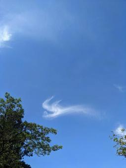 雲 雲の写真