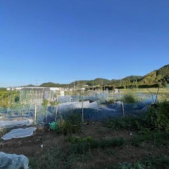 風景 風景 そら,景色,風景の写真素材