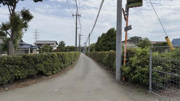 永遠 永遠の写真