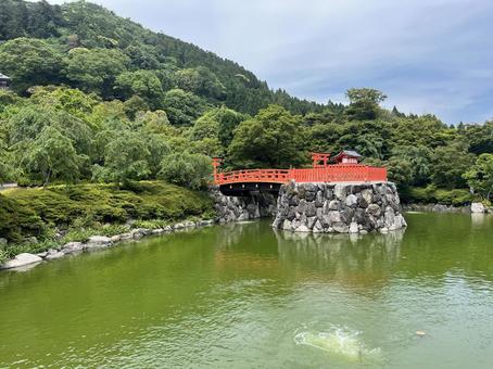 勝尾寺 勝尾寺の写真