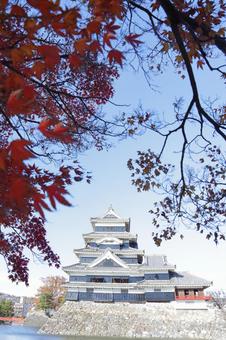 【長野県】秋の松本城 長野県,信州,松本市の写真素材