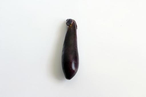 ナスの単体写真 ナスの単体写真の写真