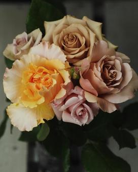 薔薇の花束240 薔薇の花束240の写真