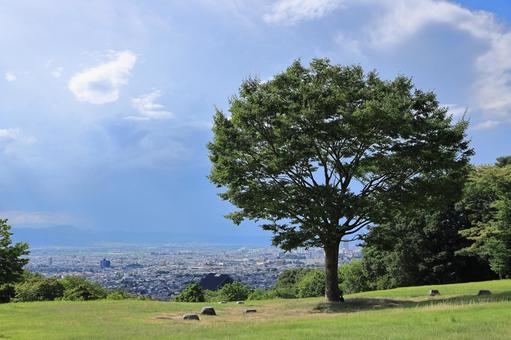 悠創の丘から山形市を望む 悠創の丘から山形市を望むの写真
