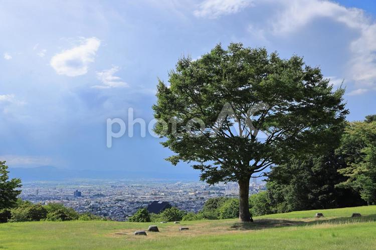 悠創の丘から山形市を望む 風景,自然,空の写真素材
