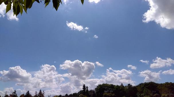 ハートの雲 ハートの雲 青空,空,ハートの写真素材