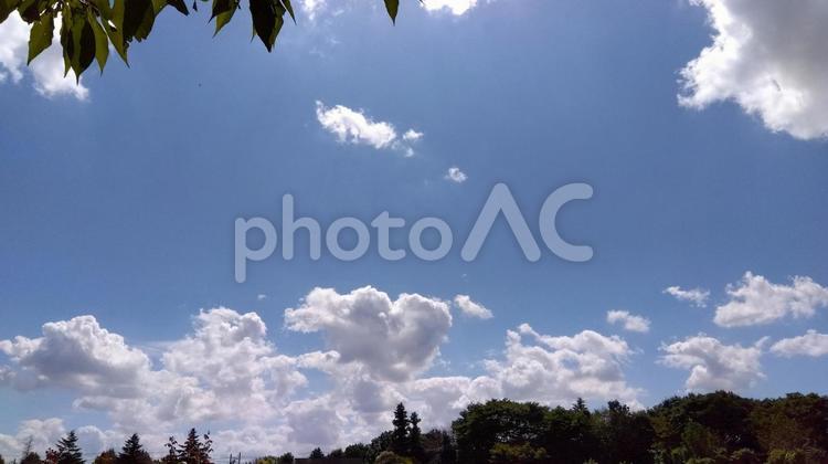 ハートの雲 青空,空,ハートの写真素材