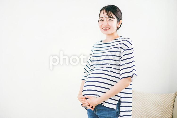 部屋にいる妊婦（笑顔・カメラ目線） 妊婦,妊娠,妊活の写真素材