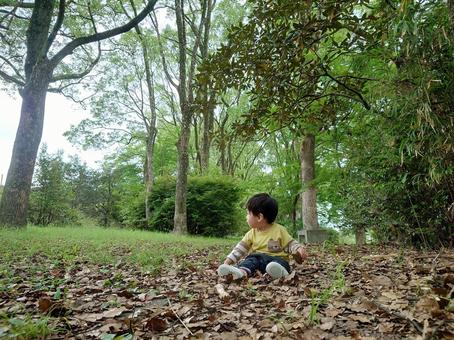 秋の森、枯葉と遊ぶ1歳児(2) 秋の森、枯葉と遊ぶ1歳児(2)の写真