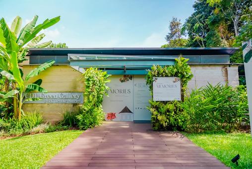 【シンガポール】美術館オーキッドガーデン 植物園,オーキッドガーデン,オーキッドの写真素材