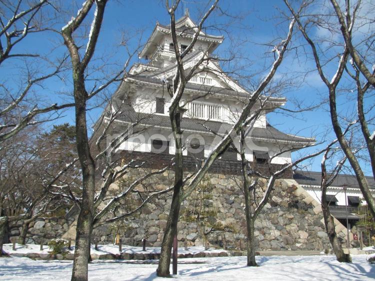 長浜城　白銀に映える天守閣 長浜城,豊臣秀吉,羽柴秀吉の写真素材