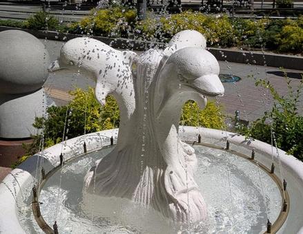 Photo, dolphin, water spray, object, 