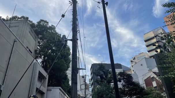 東京の街並み 東京の街並みの写真