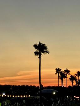 綺麗な夕日 綺麗な夕日の写真