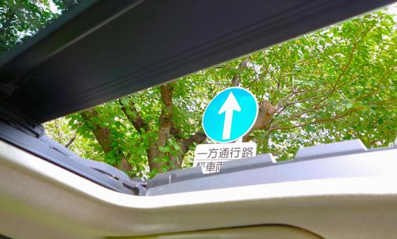 サンルーフからの緑と標識 サンルーフ,車,道路標識の写真素材