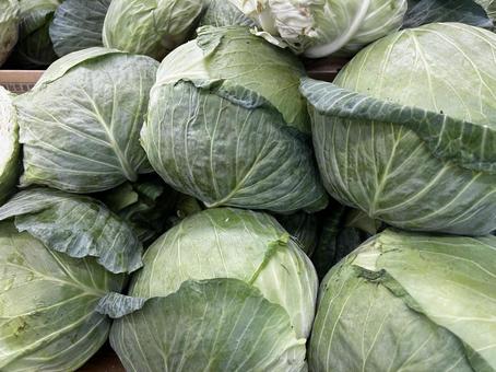 市場のキャベツ キャベツ,葉っぱ,野菜の写真素材