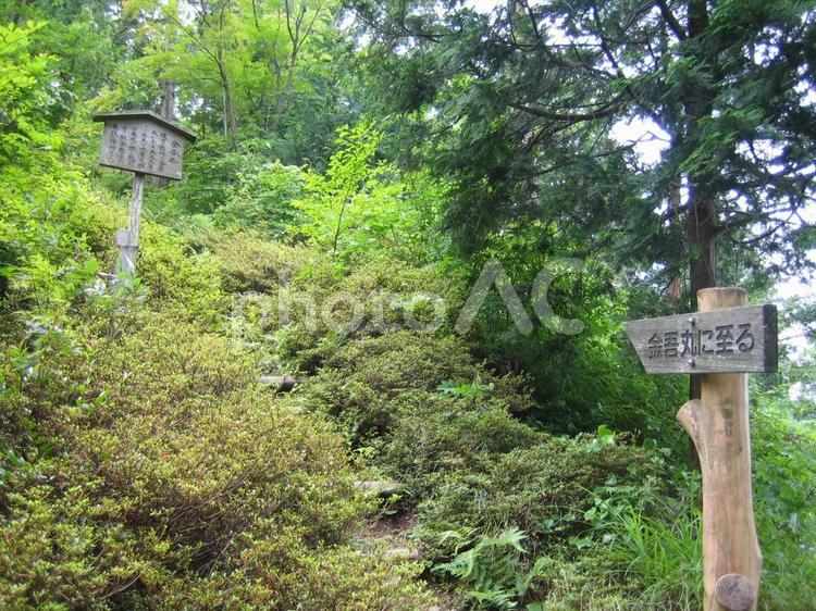 小谷城　金吾丸 小谷城,小谷山,浅井長政の写真素材