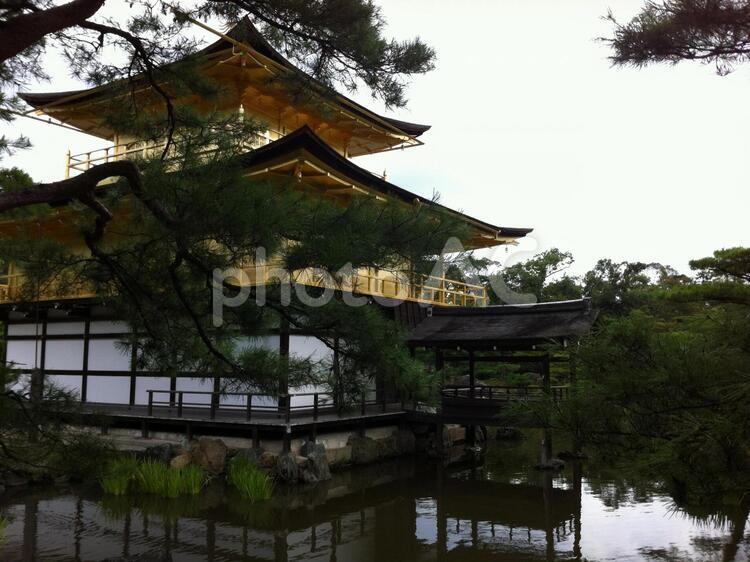 金閣寺　裏側 パワースッポト,涼しい,観光の写真素材