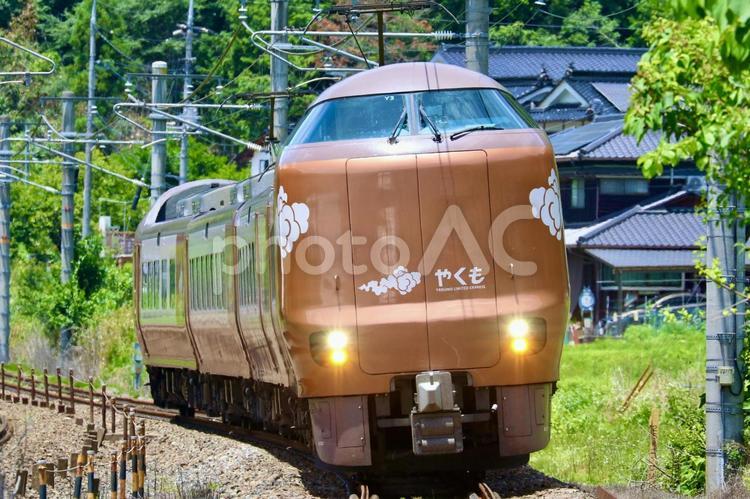 新緑の中を行く　特急やくも 鉄道,電車,jrの写真素材