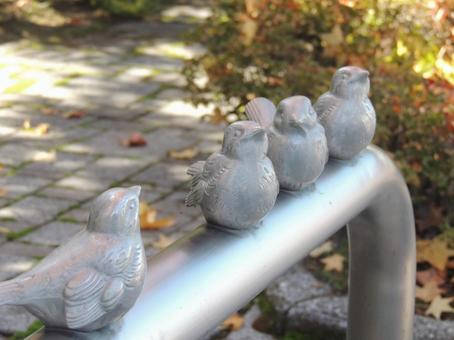 公園の小鳥 公園の小鳥の写真
