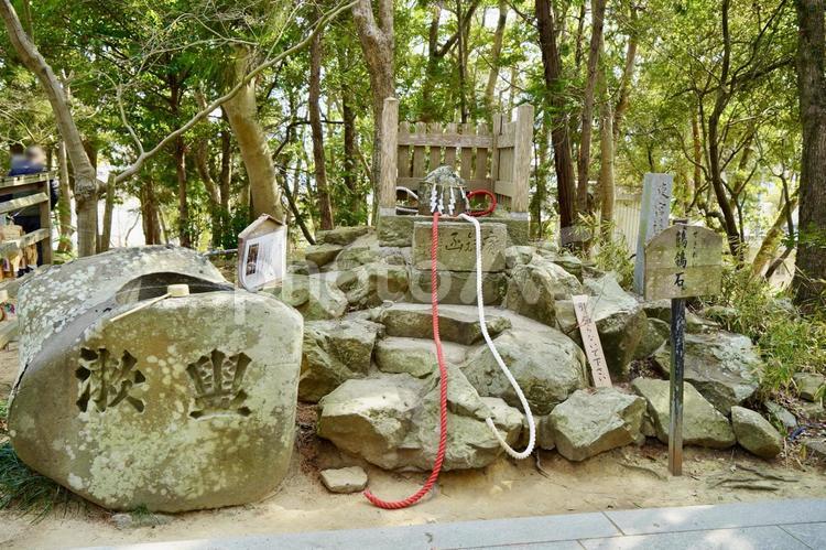 兵庫　おのころ島神社　鶺鴒石 自凝島神社,おのころ島,自凝島の写真素材