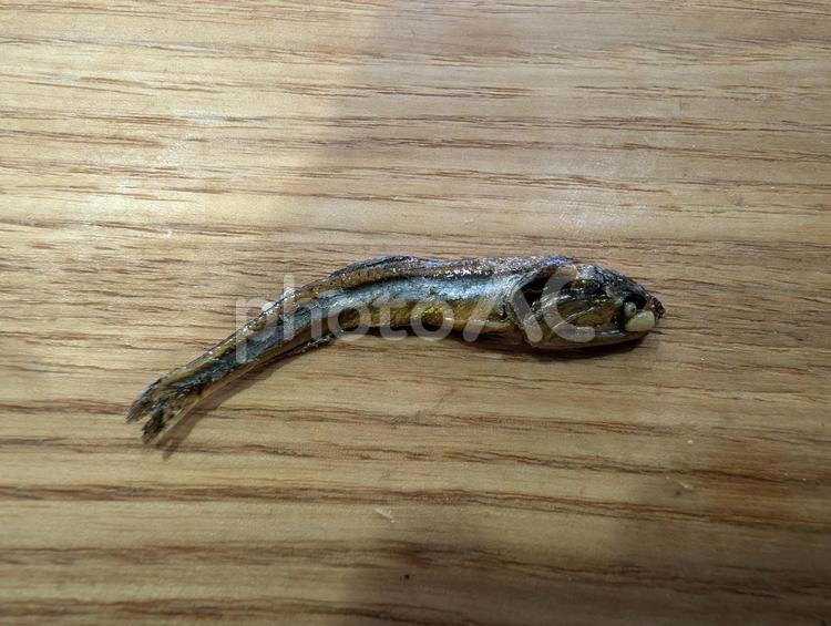 木目の上のニボシの写真 ニボシ,小魚,おつまみの写真素材