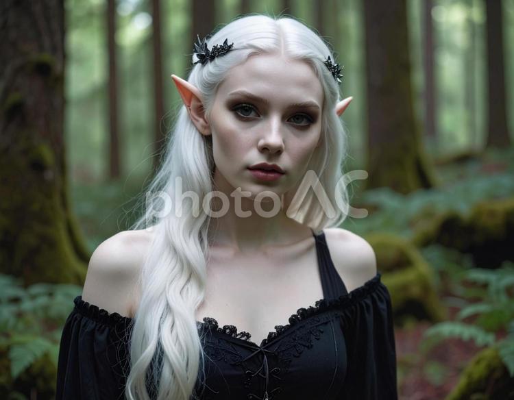 森の中のエルフ エルフ,妖精,森の写真素材