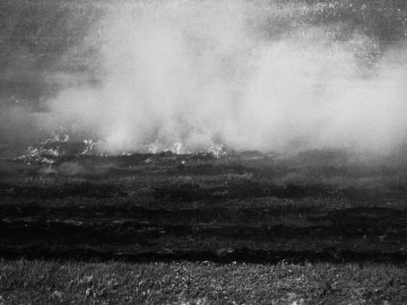 Photo, field burn, smoke, rice planting time, 