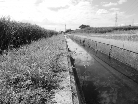 水路 水路の写真