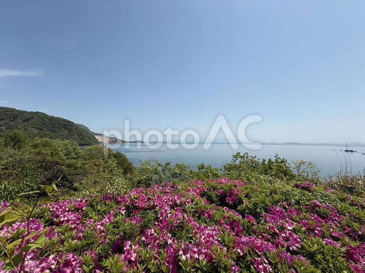 隠れ絶景スポット！瀬戸内海を見下ろす つつじ,瀬戸内海,広島の写真素材