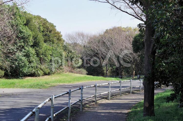 葛西臨海公園の風景 春,葛西臨海公園,公園の写真素材