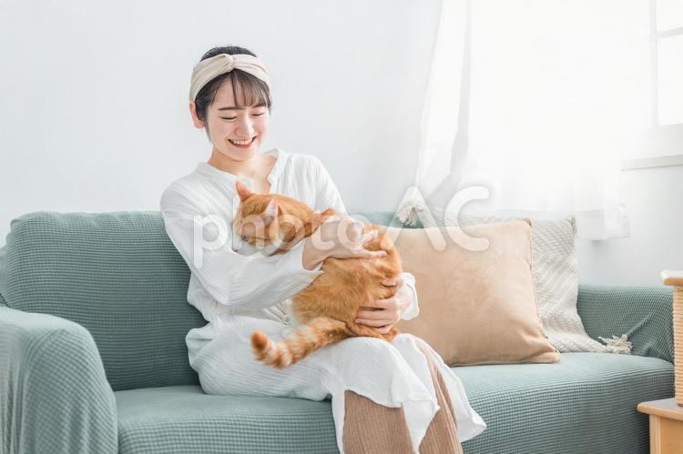 家で猫と遊ぶ日本人女性（嫌がる） 猫,ネコ,ペットの写真素材