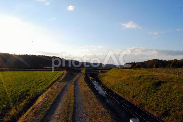 夕方の農道と棚田 田舎,農村,自然の写真素材