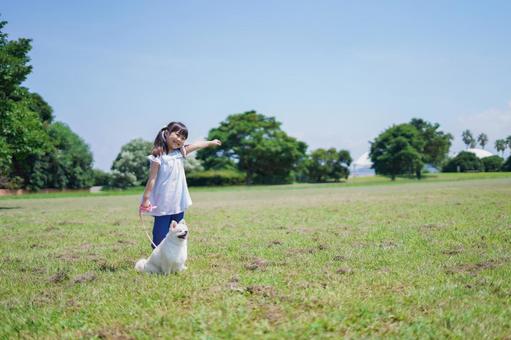 犬を散歩する小さな女の子 犬の散歩,元気,子犬の写真素材