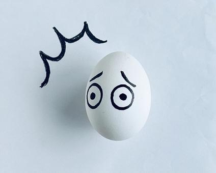 驚き 驚きの写真