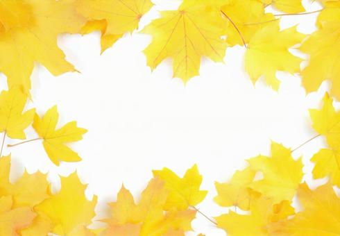 Yellow maple frame frame title image, JPG