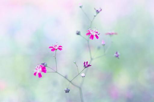 Pastel colored floral landscape, JPG