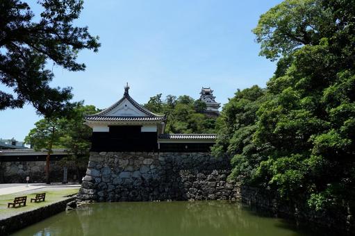 夏の高知城 夏の高知城 高知城,夏,土佐の写真素材