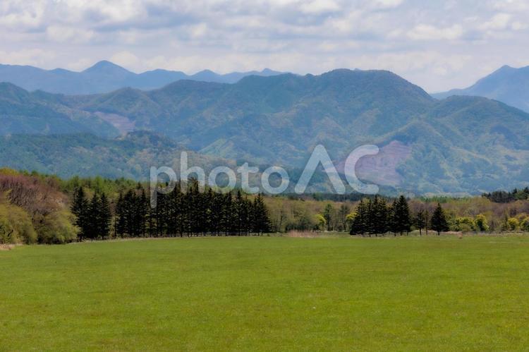 山と緑の草原風景 山,草原,緑の写真素材
