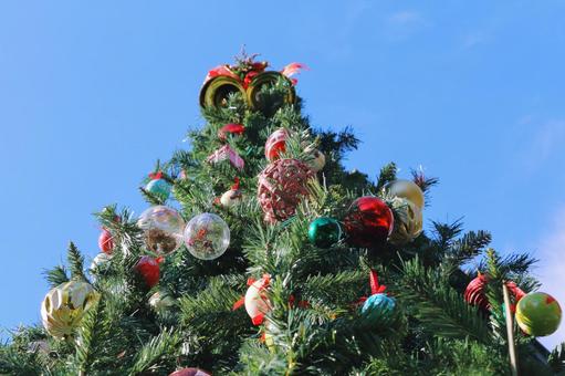 青空とクリスマスツリー 青空とクリスマスツリー クリスマスツリー,クリスマス,モミの木の写真素材