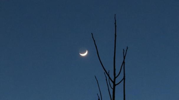 night, JPG night, JPG