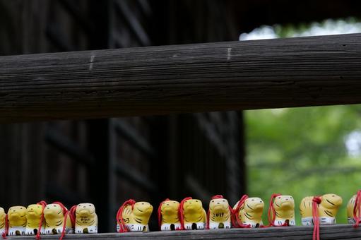 奉納された身代わり寅 身代り寅,奉納,信仰の写真素材