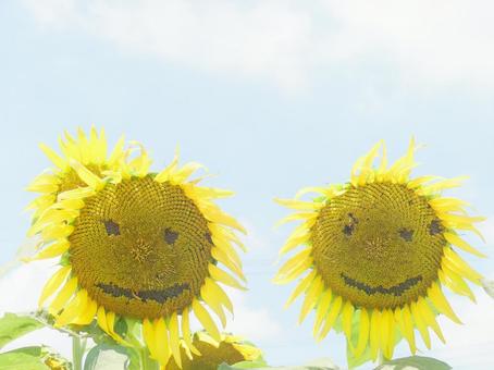 ひまわりの花に描かれたほっこりする顔2つ ひまわりの花に描かれたほっこりする顔2つ ひまわり,向日葵,植物の写真素材
