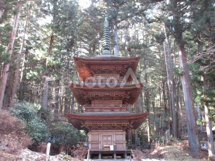 長野県-光前寺-三重塔 光前寺,寺,宝積山の写真素材