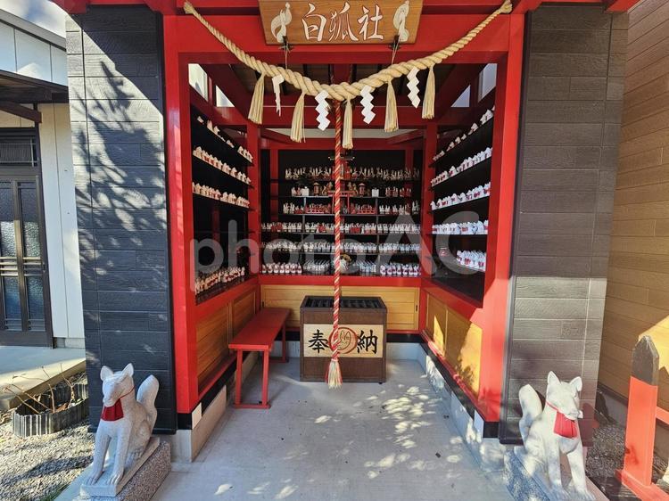 於菊稲荷神社の白狐社 於菊稲荷神社,神社,お稲荷様の写真素材