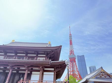 増上寺から見た東京タワー 増上寺から見た東京タワーの写真