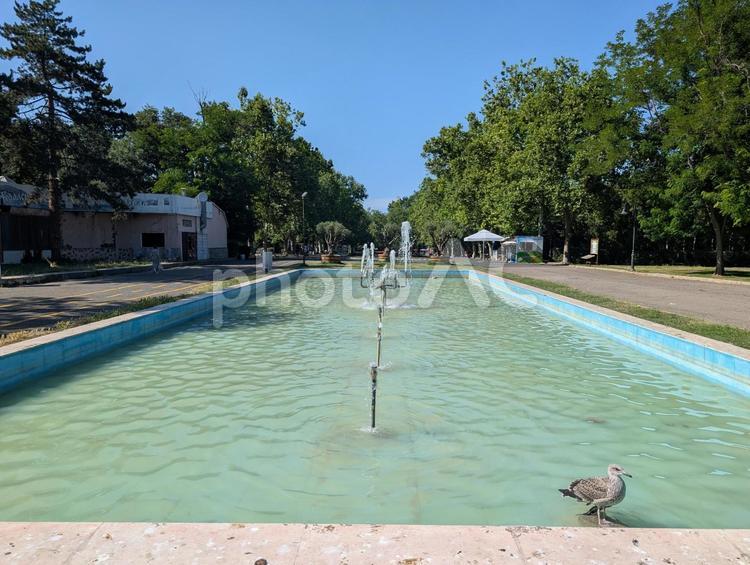 ブルガスのシーガーデン シーガーデン,噴水,公園の写真素材