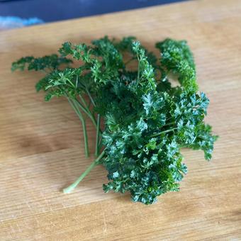 まな板の上のパセリ 葉っぱ,料理,薬味の写真素材