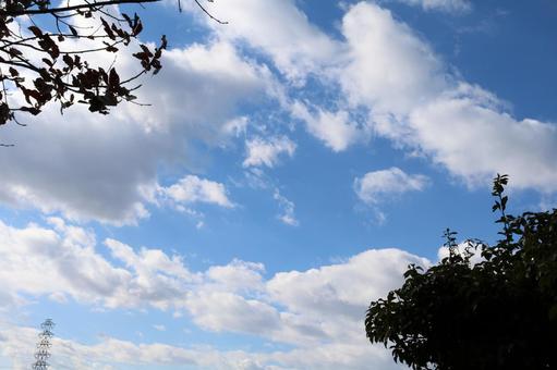 空と雲 空と雲の写真
